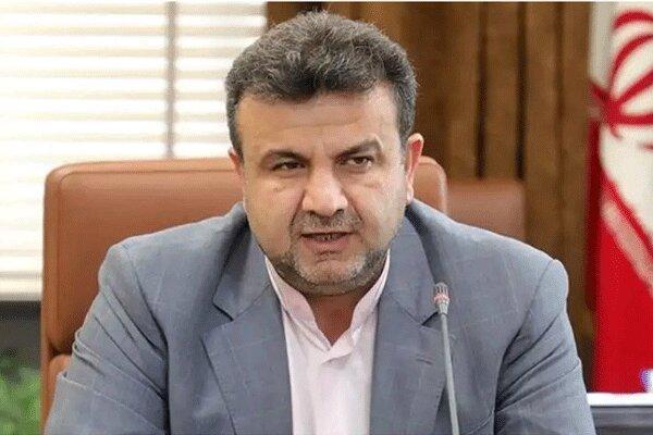 کشت پنبه به مازندران برمی گردد کشت پنبه به مازندران برمی شود