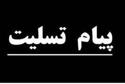 وزیر کار و رفاه اجتماعی درگذشت نماینده مردم ایرانشهر را وزیر کار و رفاه اجتماعی درگذشت نماینده مردم ایرانشهر را تسلیت گفت