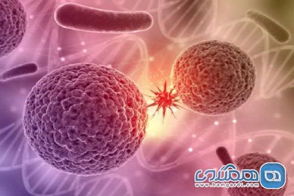 مصرف غذای سوخته از عوامل اصلی بروز سرطان است مصرف غذای سوخته از عوامل اصلی بروز سرطان است