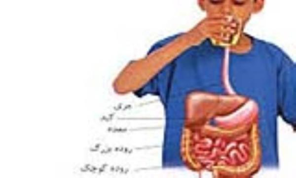 نمودار سیستم گوارشی و توضیح کار این سیستم نمودار سیستم گوارشی و توضیح کار این سیستم